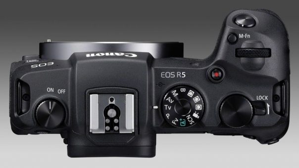 Canon's most expected EOS R5 and R6